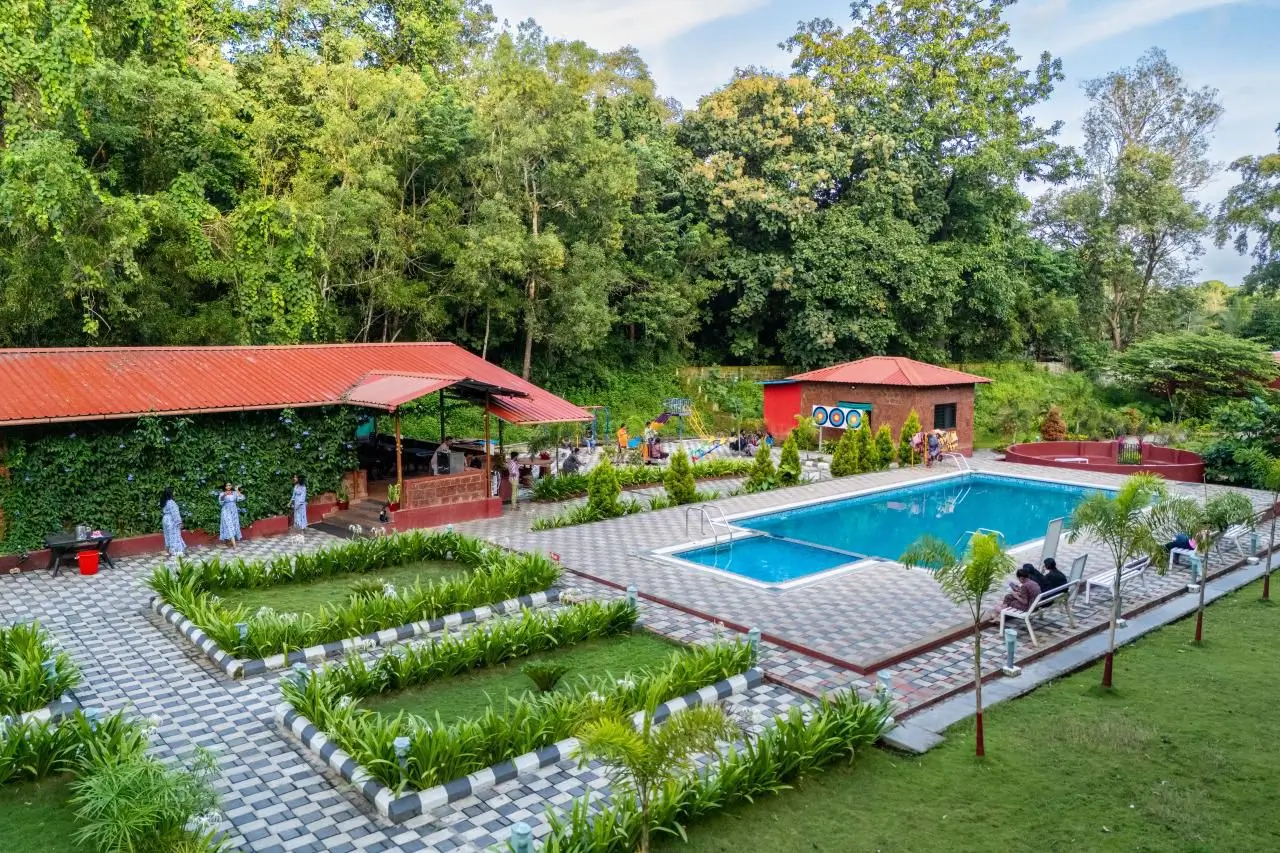 dandeli resort pool