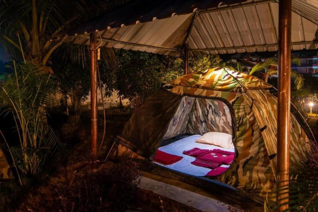 dandeli tents